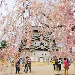 Aaomori during spring